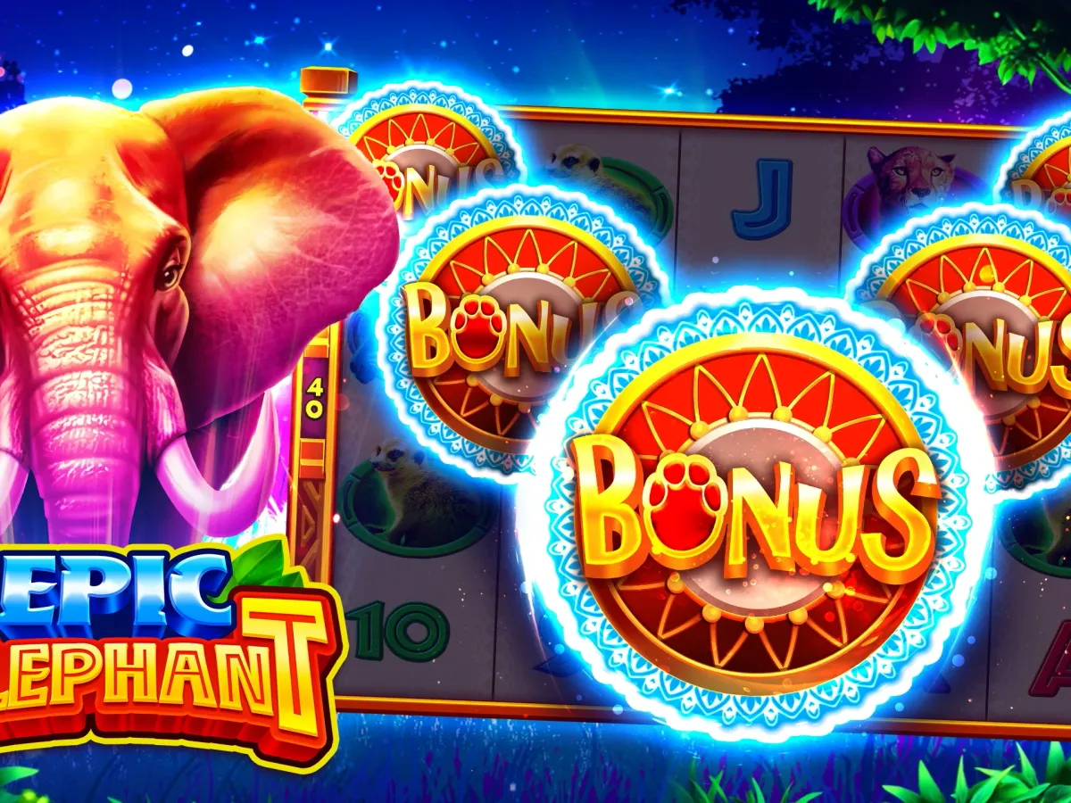 Akses malkis4d VIP Premium screenshot